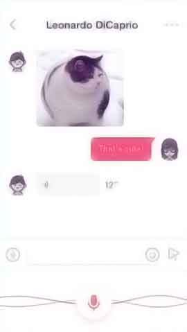 cc攻击工具软件程序维护界面